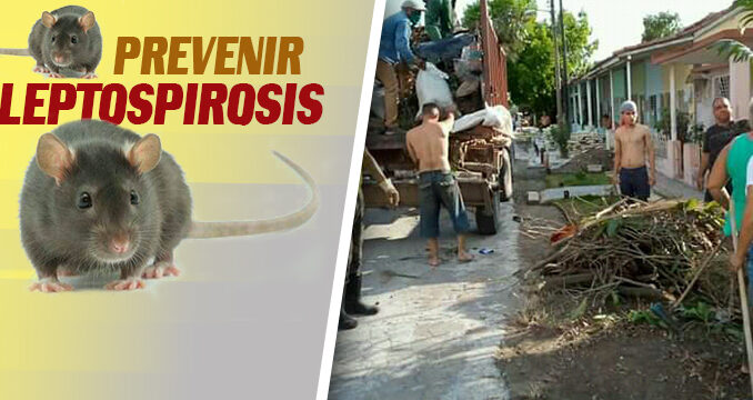 1004-Leptospirosis-prevencion.jpg