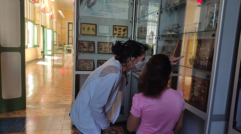 0-17-museo-oscar-maria-4.jpg