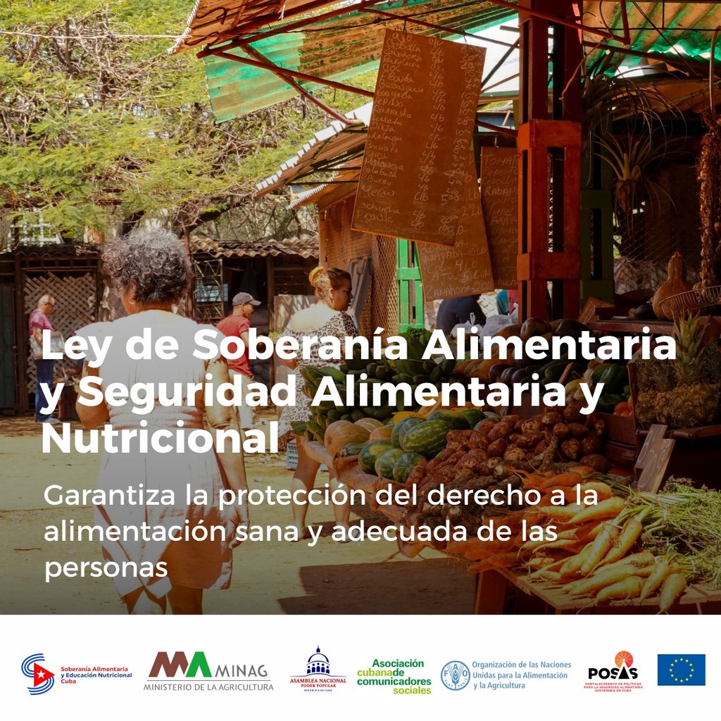2203-seguridad-alimentaria-2.jpg