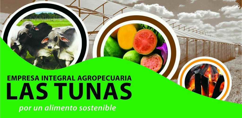 0911-agroint-las-tunas-foto-facebook.jpg
