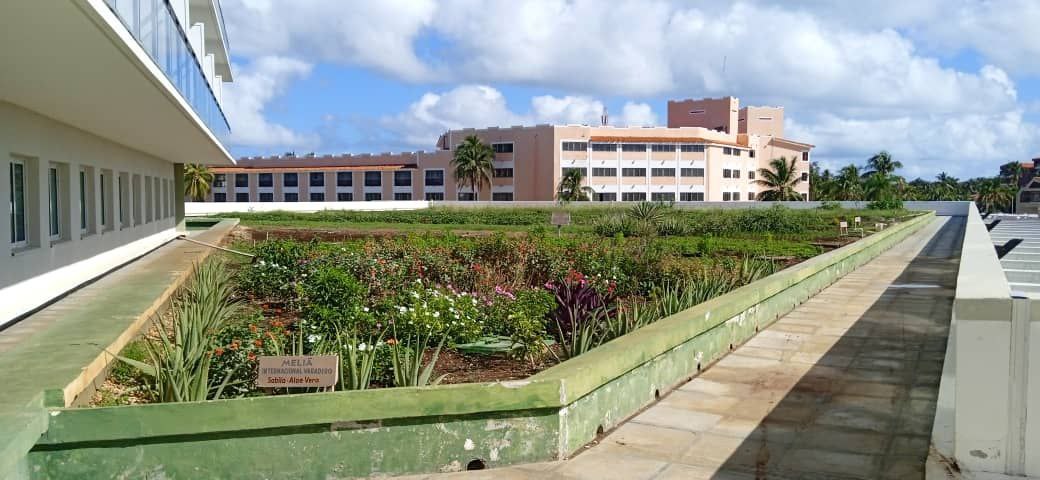 2111 Melia Internacional Varadero3