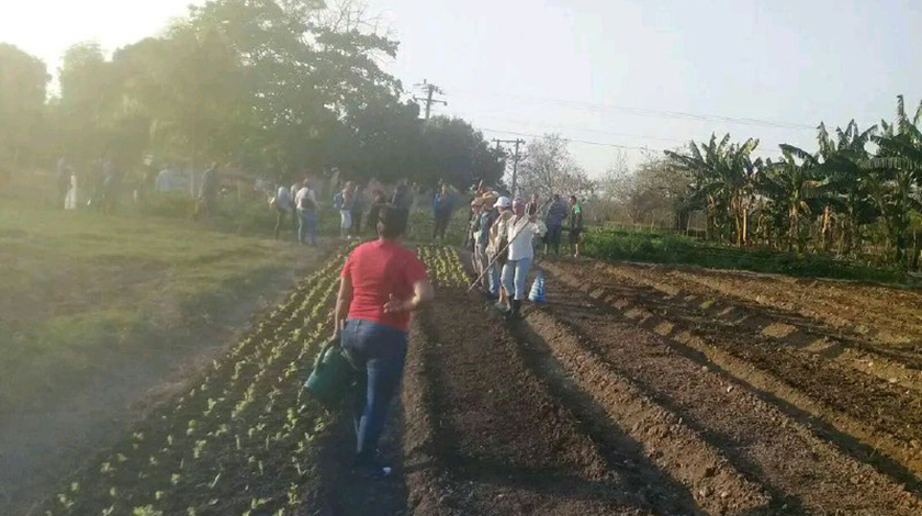 0-02-trabajo-voluntario-santiago-2.jpg