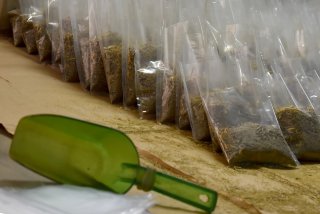 0126-medicina-verde.jpg