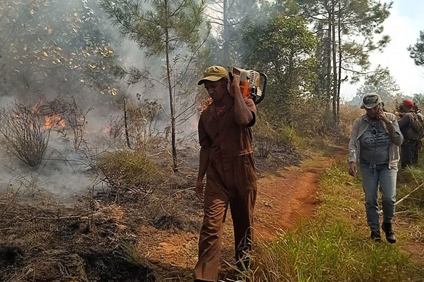 0-20-incendio-forestal-h-5.jpg