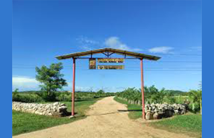 ACN - Cuba