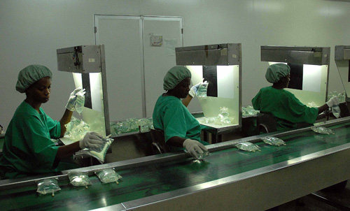 Cese de bloqueo beneficiaría a industria farmacéutica cubana Cese de bloqueo beneficiaría a industria farmacéutica cubana