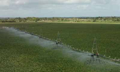 La Agencia de Medio Ambiente (AMA) y el Programa de Asociación de País sobre Manejo sostenible de tierras (MST) anunciaron en esta capital su cronograma a fin de optar por el reconocimiento en esto último para el período 2022-2023.