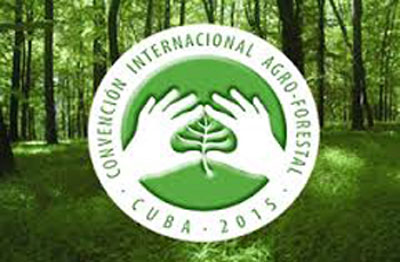 actividad_agro_forestal.jpg