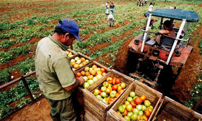 agropecuario.jpg