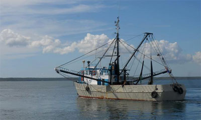 Flota camaronera. AIN FOTO ARCHIVO flota_camaronera.jpg