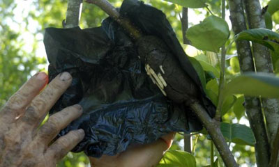 fincas_agroecologicas.jpg