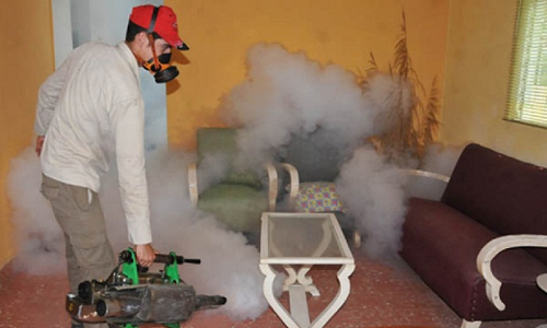 1025-fumigacion-1.jpg