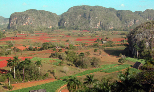 0718-pinar del rio-2.jpg