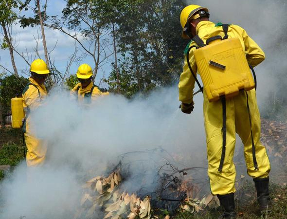 Frenar y eliminar cualquier foco, por pequeño que sea, es determinante para cerrarle las puertas a los incendios forestales. Foto: Oscar Alfonso Sosa/ACN