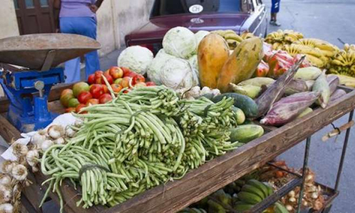 Holguín, como muchas otras ciudades cubanas, luce sus encantos y amplía múltiples programas en defensa del orden y la armonía de las principales áreas urbanas, pero la nueva modalidad de comerciantes en carretillas preocupa a sus inquilinos por ciertas indisciplinas.