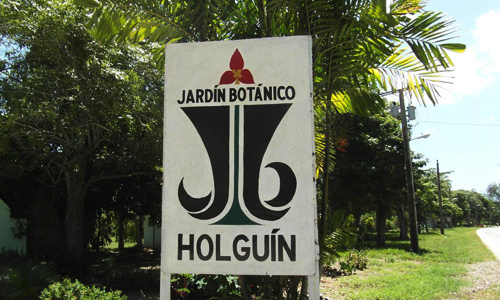 Asentado en áreas del Valle de Mayabe y con más de 50 hectáreas en explotación, el Jardín Botánico de Holguín constituye un reservorio para la conservación de especies endémicas de la flora cubana.