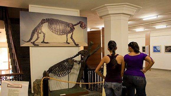 0701-museo-historia-natural.jpg