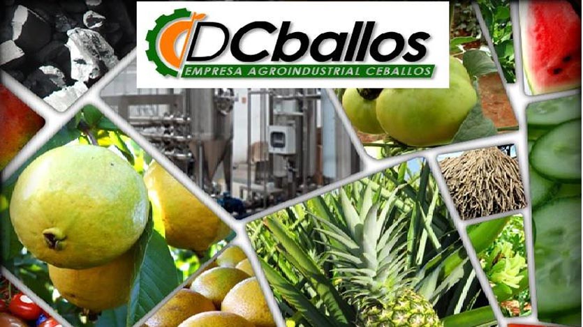0425-CEBALLOS.jpg