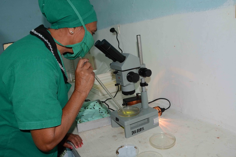 0301-Bartolomé_3.jpeg