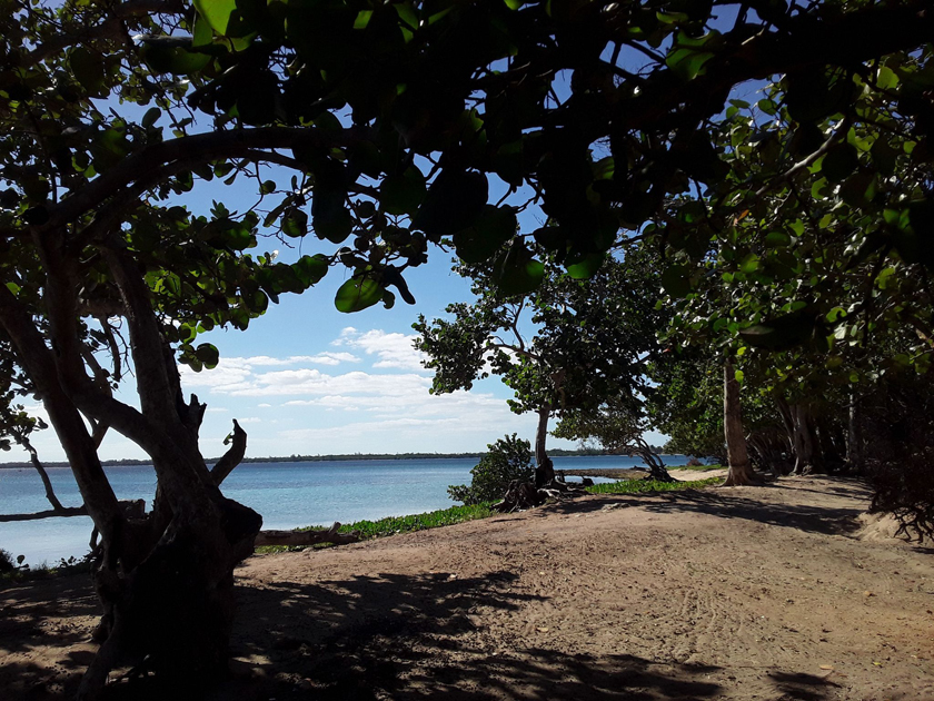 1210-cienaga-zapata1.jpg