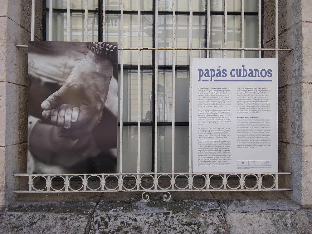 1215-papas-cubanos.jpg
