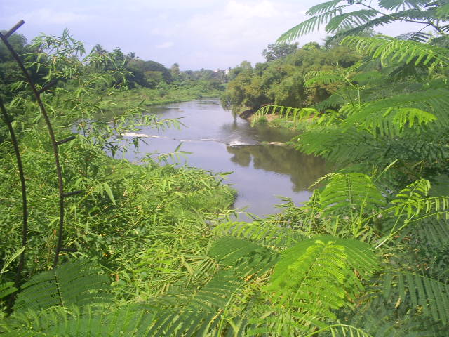 1812-guantanamo-fluvial.2.JPG