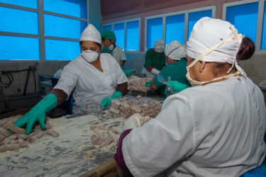 Empacadora de Camagüey