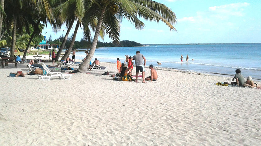 La restauración de puntos críticos, la retirada de barreras de contención eólica y el tratamiento silvicultural destacaron entre las principales acciones para la recuperación de las playas arenosas de la cubana provincia de Matanzas durante el año 2021.