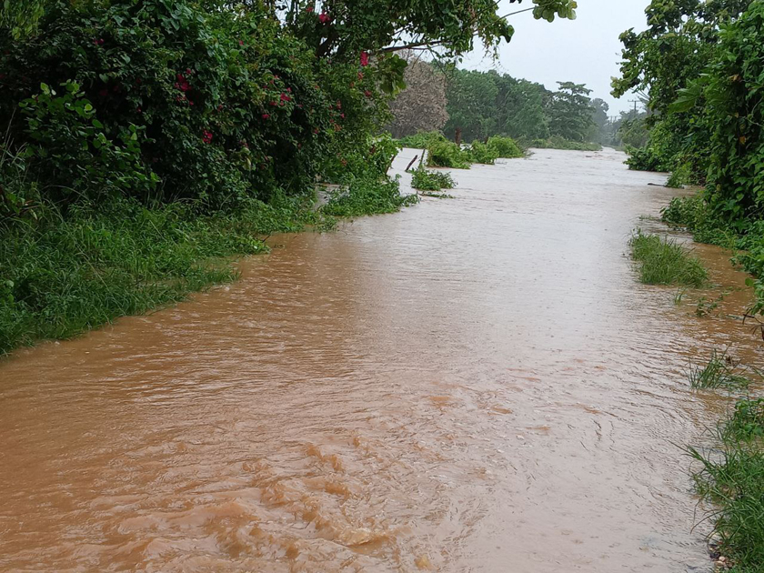 0603-pinar-del-río1.jpg
