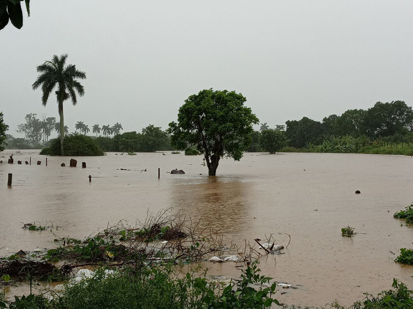 0603-pinar-del-río2.jpg