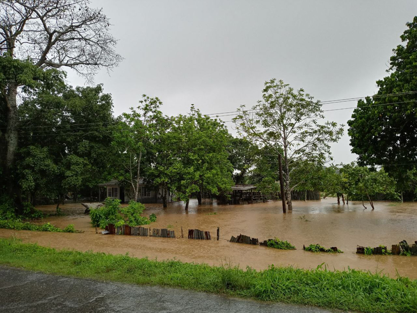 0603-pinar-del-río3.jpg