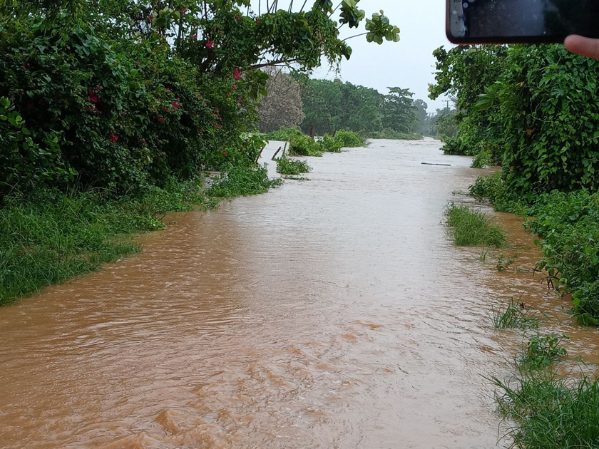 0603-pinar-del-río4.jpg
