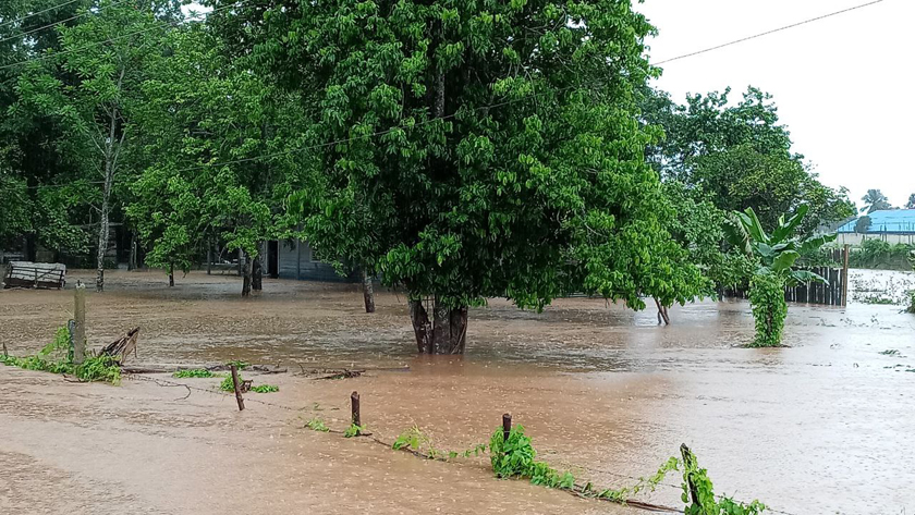 0603-pinar-del-río5.jpg