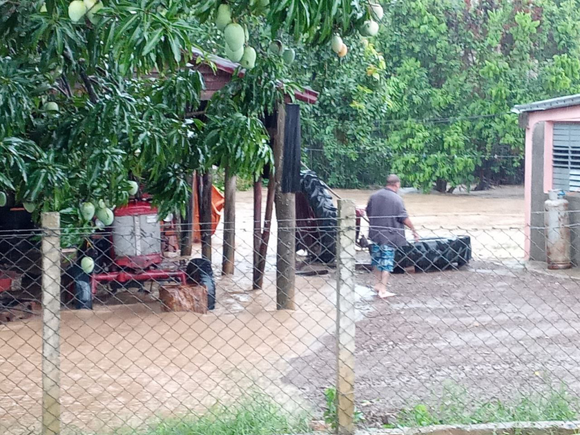 0603-pinar-del-río8.jpg
