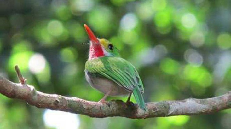 0-30-cunagua-2.jpg
