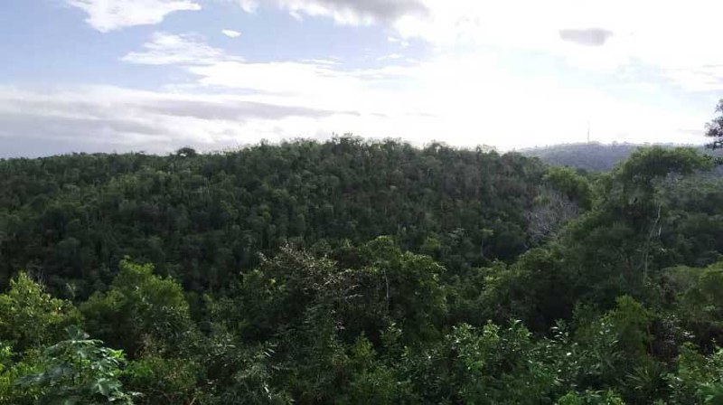 0-30-cunagua-4.jpg
