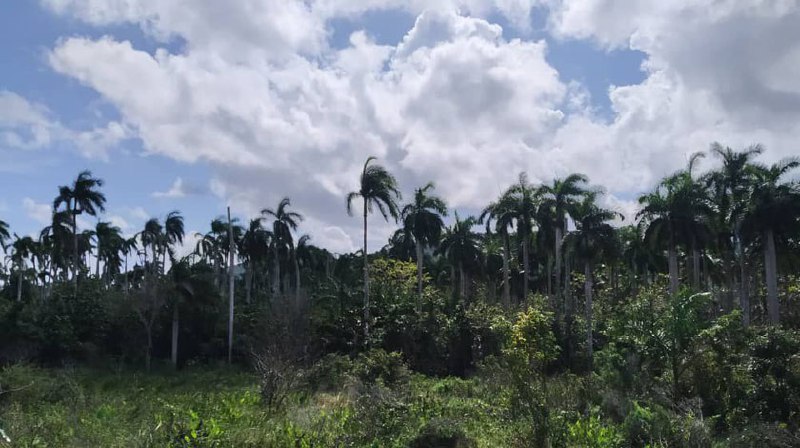 0-30-cunagua-5.jpg