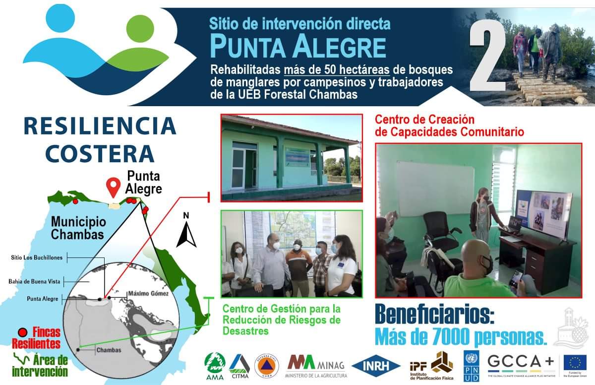 0816-resiliencia4.jpg