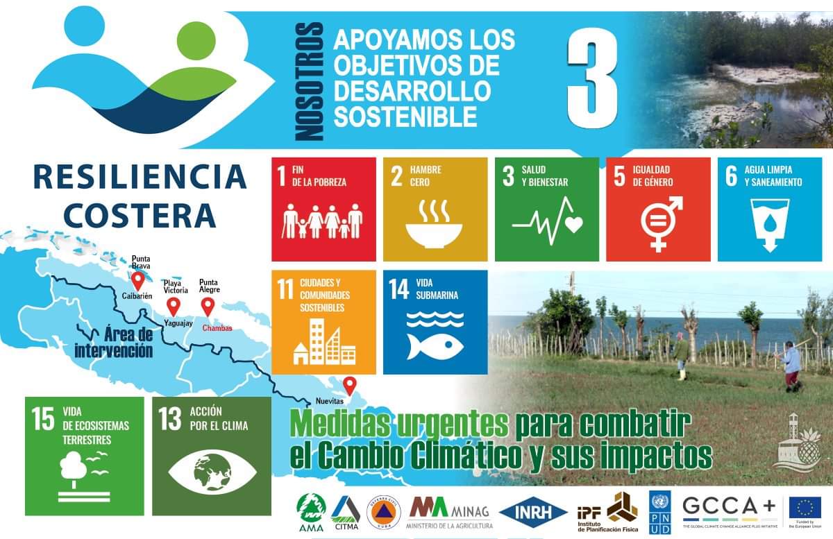0816-resiliencia5.jpg