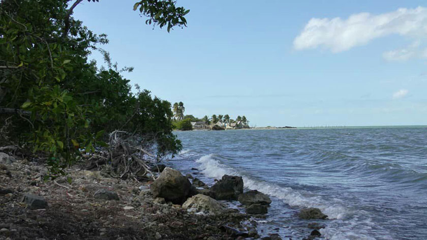 0704- ambiente.jpg