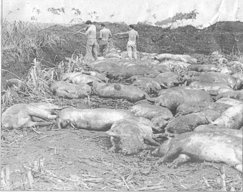 0601- guerra.jpg