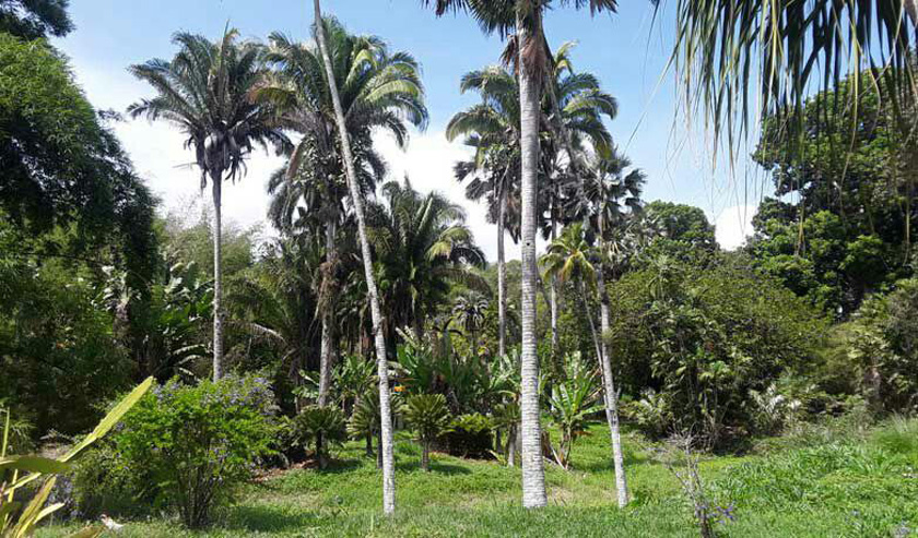 0602- ambienteee.jpg