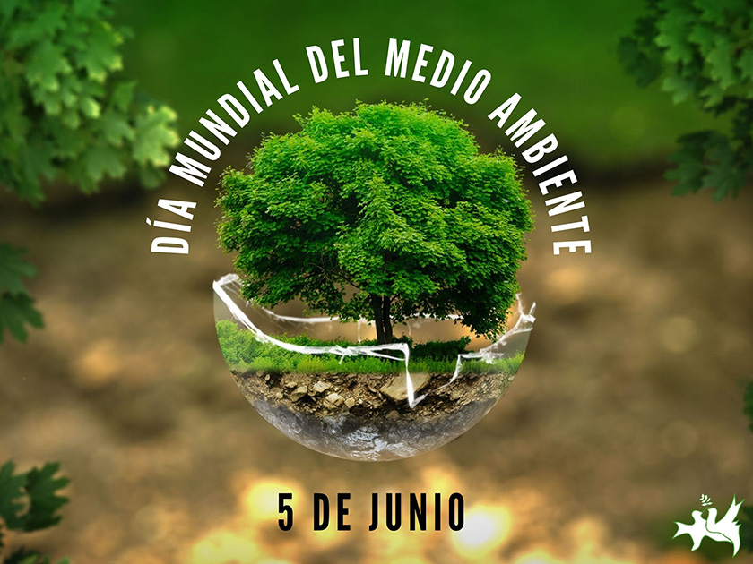 0605- ambiente.jpg