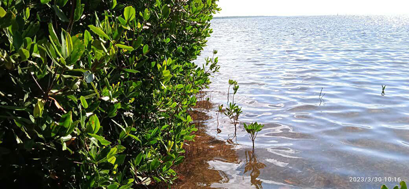 0522- costa.jpg