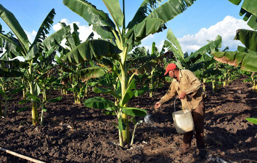 0-03-economia-agropecuaria-4.jpg