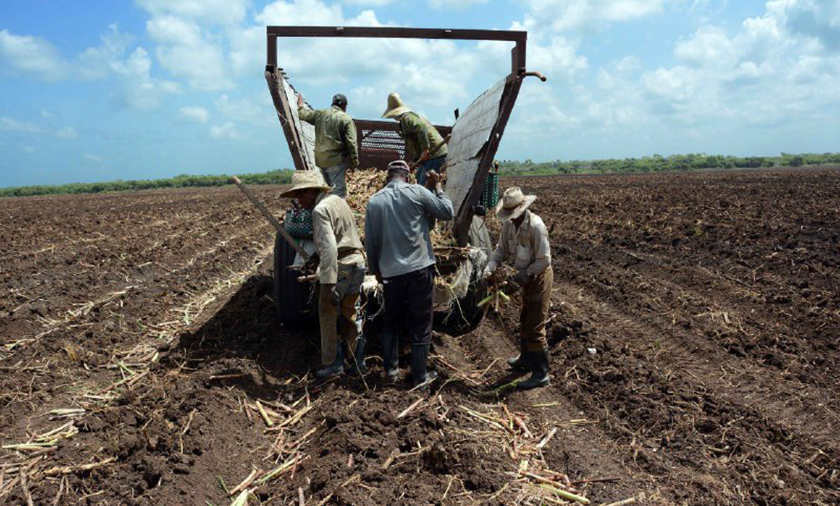 0-03-economia-agropecuaria-5.jpg