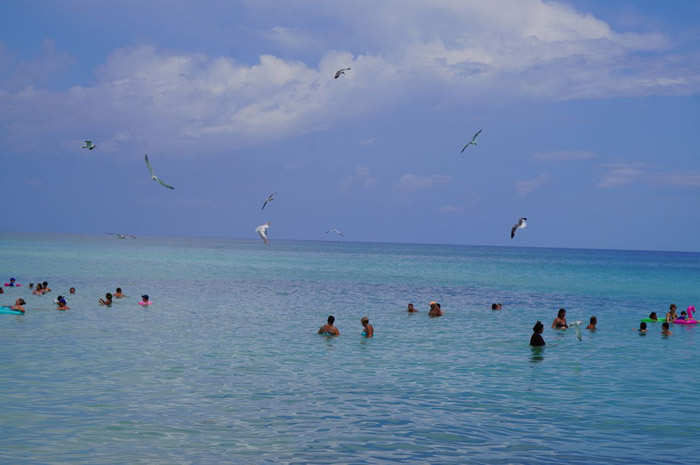 ACN - Cuba