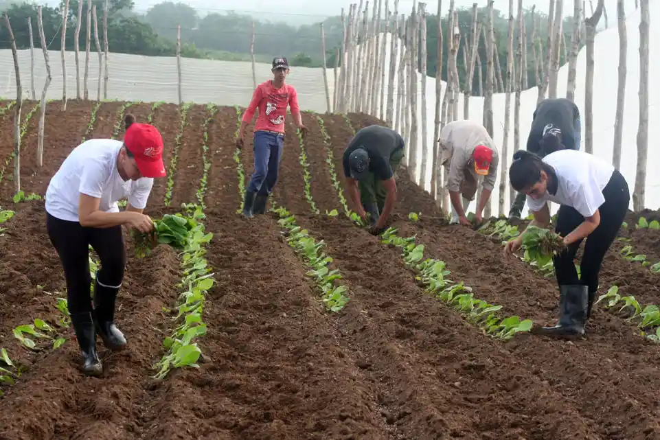 ACN - Cuba