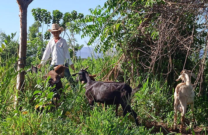 ACN - Cuba