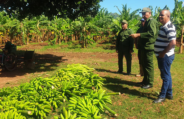 ACN - Cuba